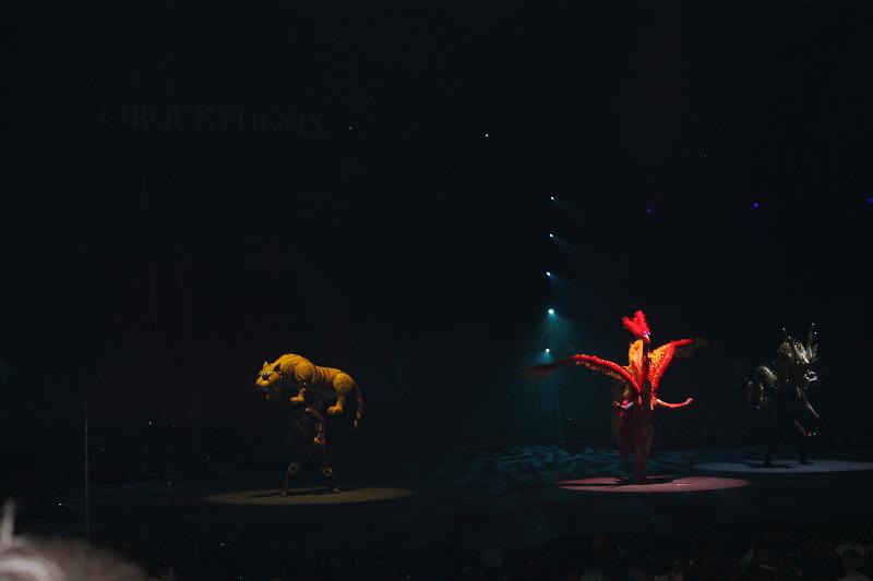 2013-12-15 Cirque Phenix 018.JPG